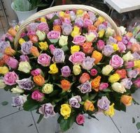 101 роза в корзине 40